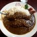 エビのせバージョン。野菜とフルーツのみ３年熟成させたソースはカレーを越えたカレー。3000円ぐらいするけど全然出せるウマさ。大国町のほうにあるよ