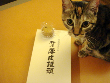お土産で買ってきた福島県の名物菓子薄皮饅頭！！めっちゃうまい！！