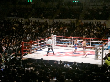 長谷川穂積VSアルバロペレスの試合観戦で神戸ワールド記念ホール行ってきました！  
